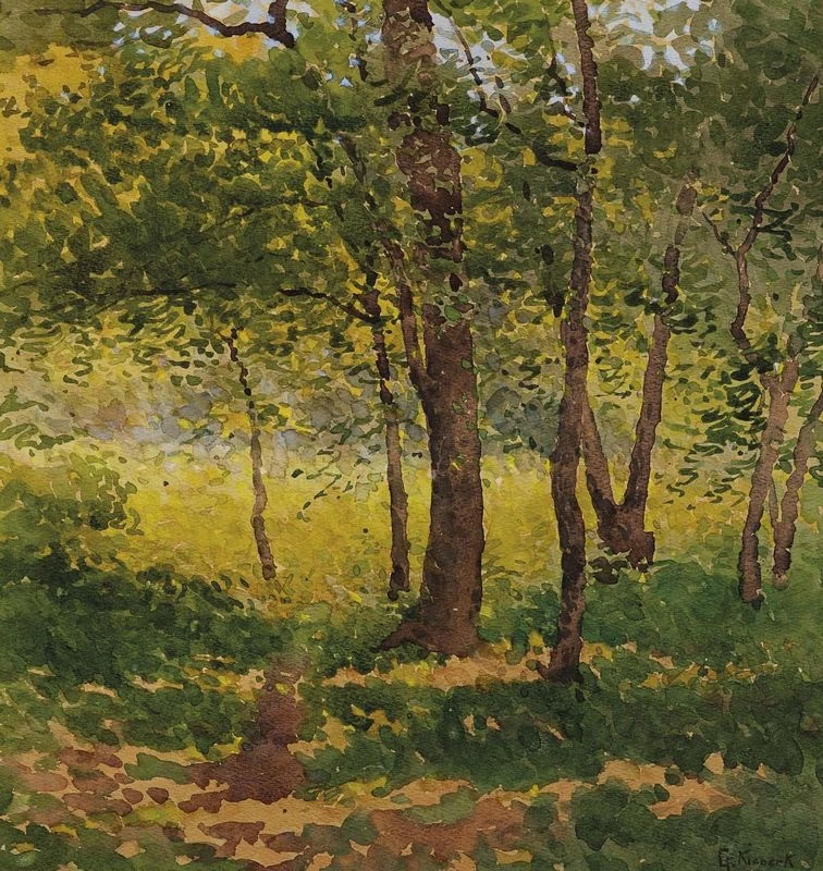 Studio forestale 1